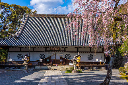 长青春科尔寺日本京都知恩院背景