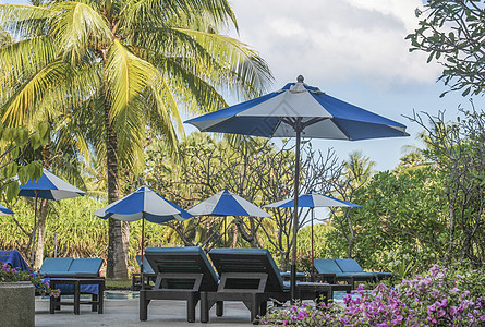 度假酒店的躺椅和遮阳伞图片