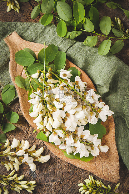 新鲜洋槐花图片