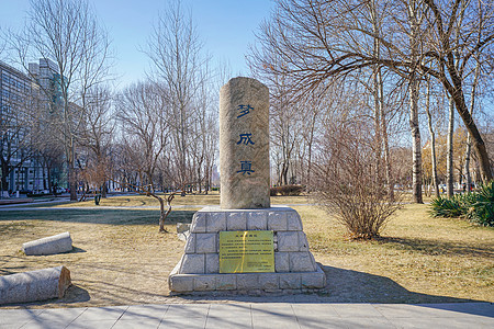 天津海河天津大学内雕塑背景