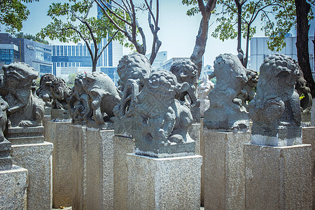 石雕艺术厦门博物馆前的石狮子背景