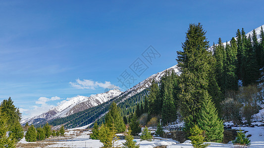 新疆伊犁乔尔玛雪山风光背景