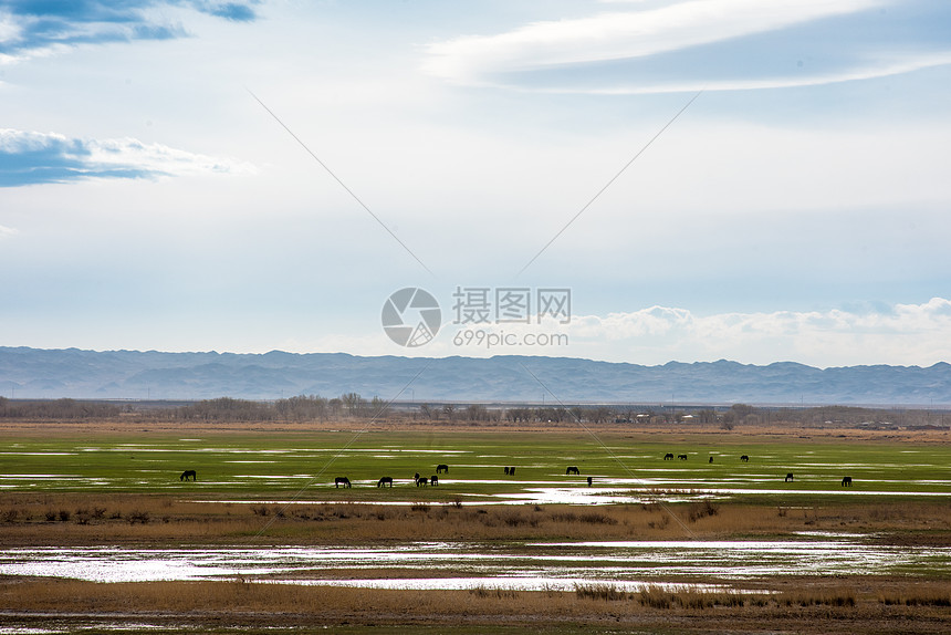 新疆春季沼泽湿地草原牧场图片