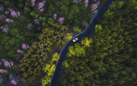 道路建设春意盎然背景