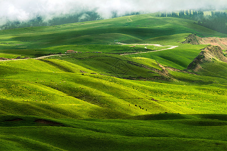 新疆天山草场风光图片