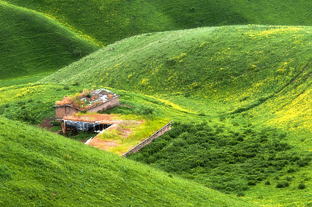 新疆天山山脉草原木屋背景图片