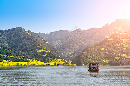 黄山毛尖春天的古徽州新安江山水画廊万亩油菜花开背景