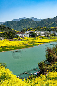 徽州山水春天的古徽州新安江山水画廊万亩油菜花开背景