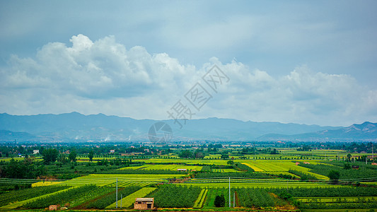 油菜花田地陕西西安郊外田园风光背景