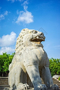 蓝天下陕西乾陵景区的石狮子图片