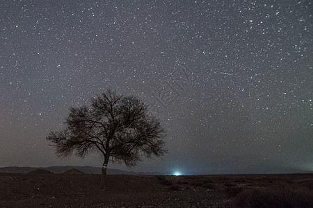 星空树木风景夜景图片