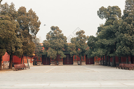 故宫线条北京故宫皇家园林背景