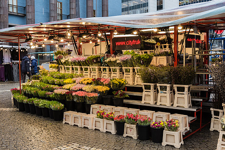 鲜花市场瑞典斯德哥尔摩露天集市背景