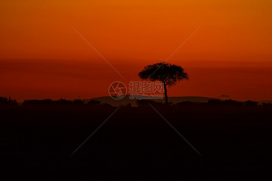东非日出时的景象图片