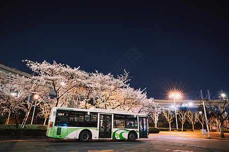 上海樱花南浦大桥街道夜景图片