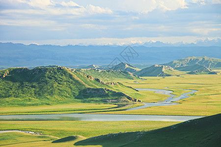 夏风新疆巴音布鲁克大草原背景