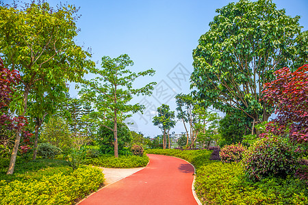 道路公园小路背景