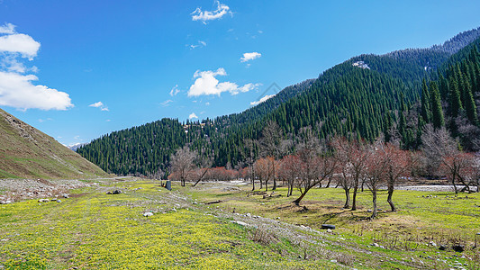 新疆那拉提河谷草原图片