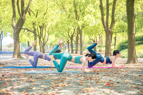 女性公园户外瑜伽图片