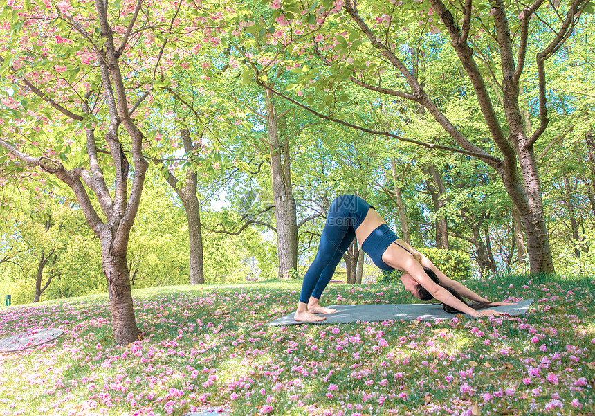 女性公园户外瑜伽图片