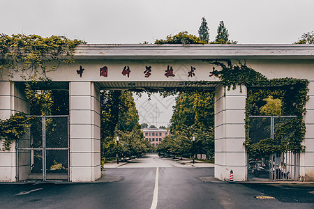 樱花拱门中国科学技术大学老北门背景