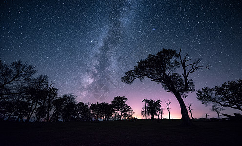 夜空树星空银河背景