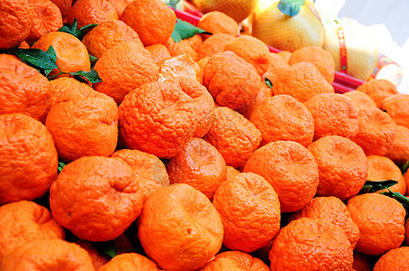 橘子水果橘柑高清图片
