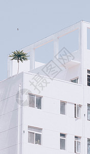 飞鸟手机素材白色的房子背景