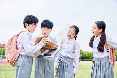 看书的小学生小学生户外阅读背景