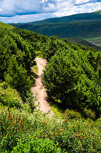 山间小路图片