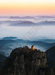 观海台黄山猴子观海背景