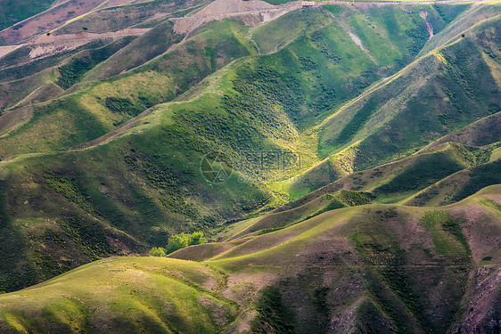 新疆天山牧场草原草场牧区牧业线条素材背景图片