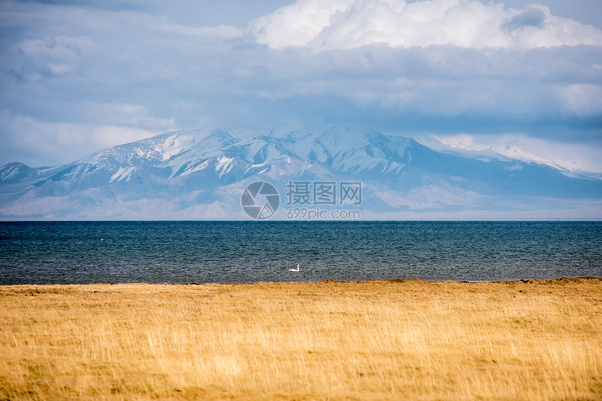 新疆赛里木湖雪山草原风光图片