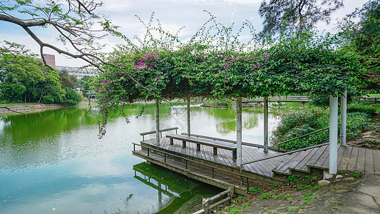 台湾清华大学成功湖图片