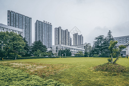 商务区休闲绿地草坪高清图片素材