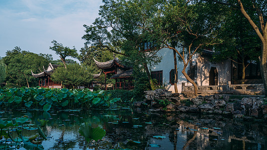 苏州月饼拙政园背景