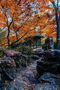 苏州老城留园背景