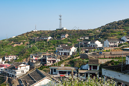 枸杞岛小镇图片