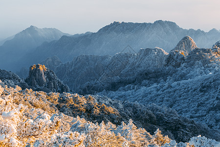 黄山毛尖雪后黄山背景