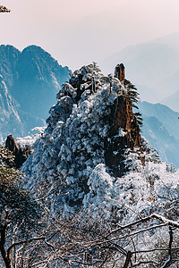 雪后黄山降雪小雪高清图片