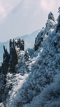 雪后黄山图片