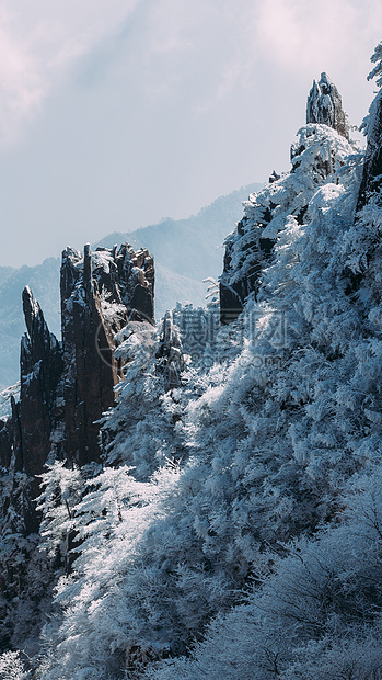 雪后黄山图片