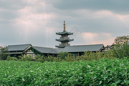 无锡拈花湾背景图片