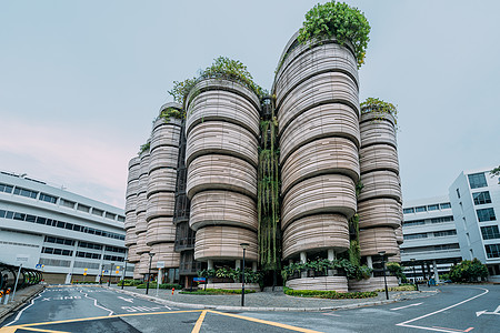 圣彼得堡国立大学新加坡国立大学图书馆背景