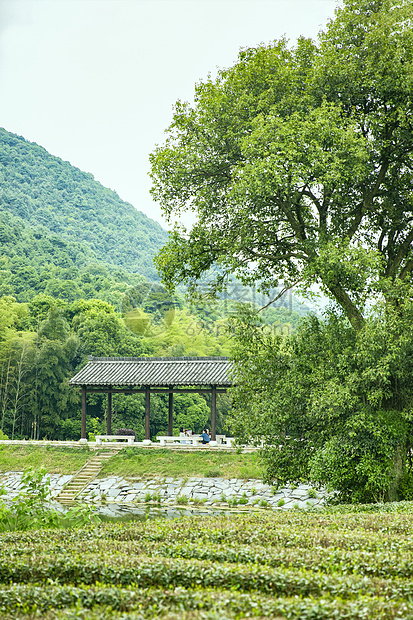 夏天山林凉亭图片