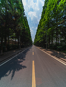 校园道路图片