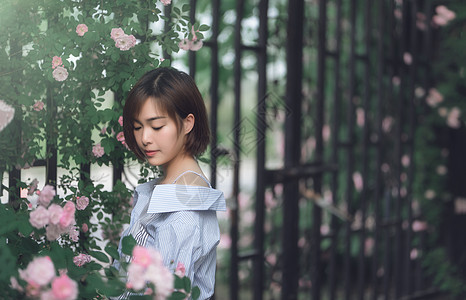 女孩与花卉蔷薇花与美女背景