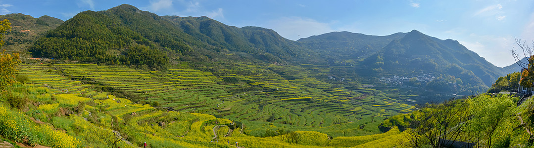 梯田浙江上虞覆卮山风光背景