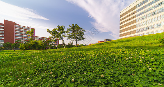 华东理工大学校园草坪绿地高清图片素材