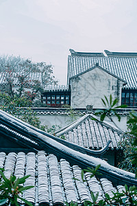 苏州景色雪天拙政园局部背景